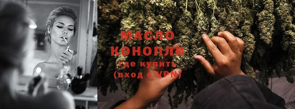 Альфа ПВП Ельня